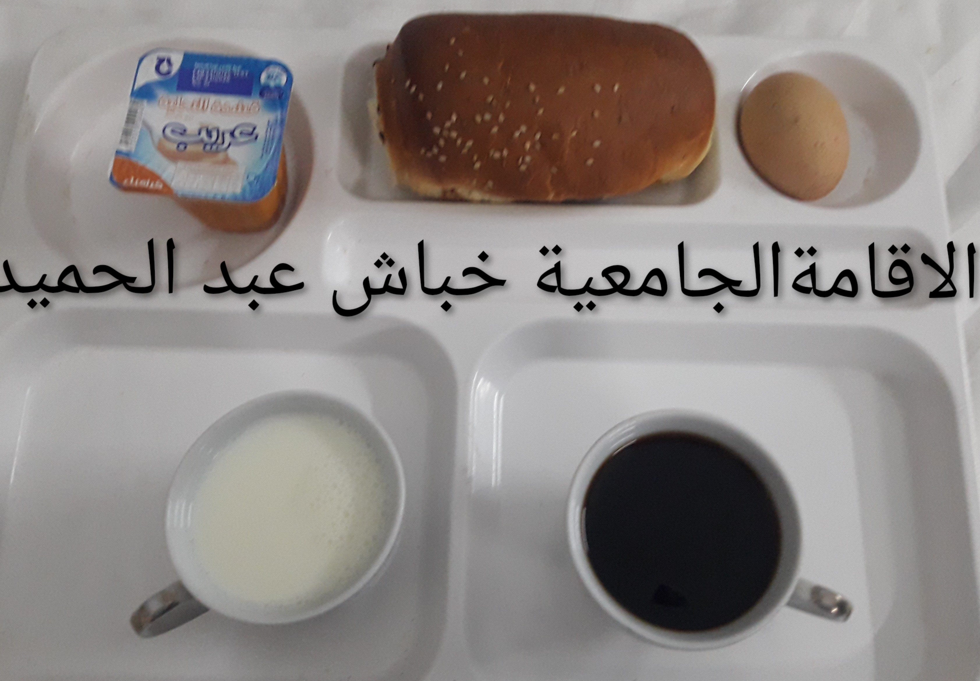 الاقامة الجامعية عبد الحميد خباش