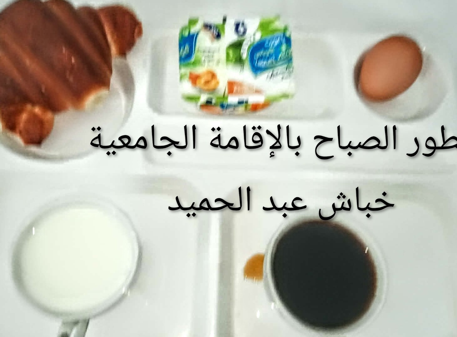 الاقامة الجامعية عبد الحميد خباش