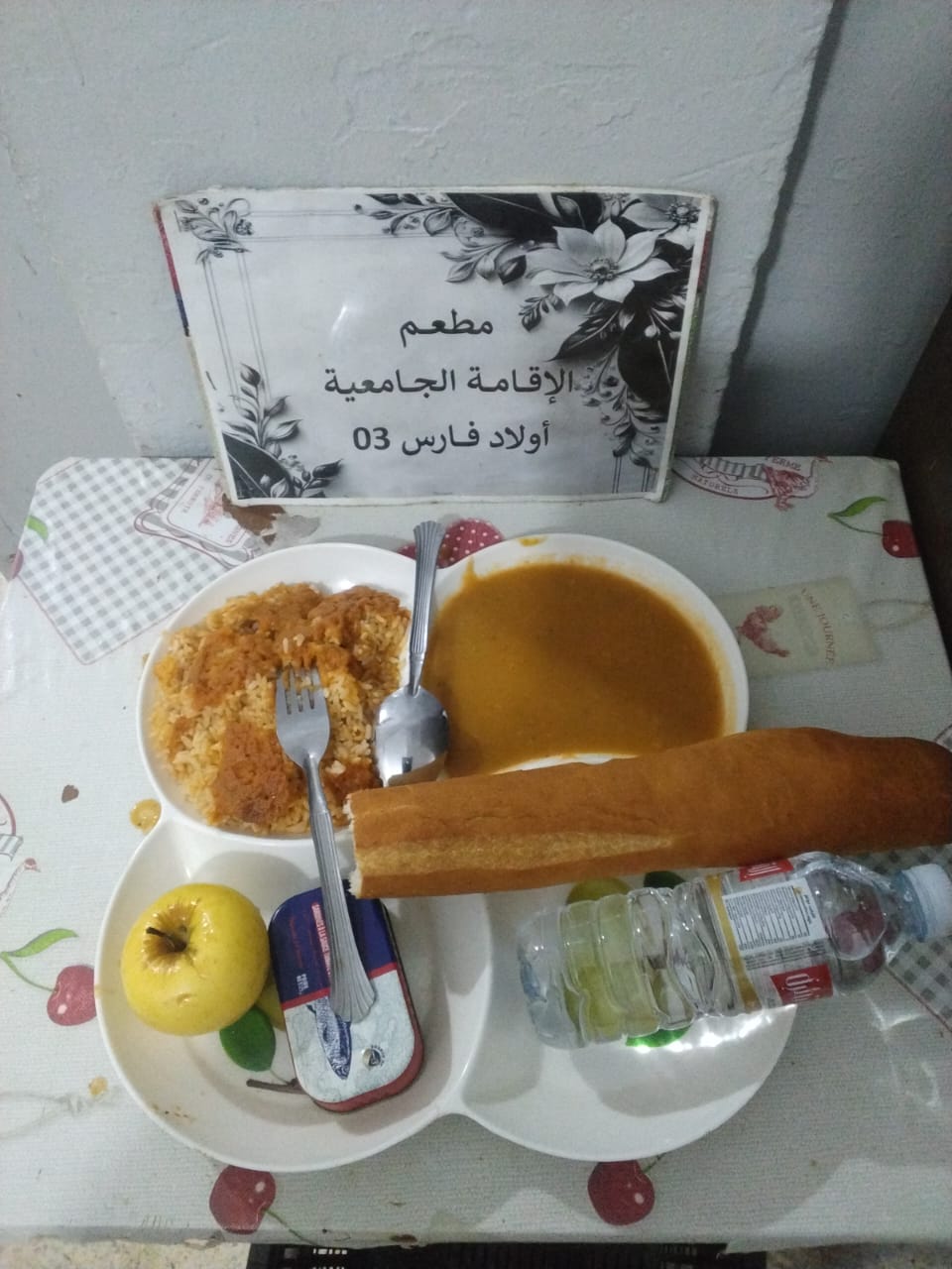 الاقامة الجامعية اولاد فارس 03