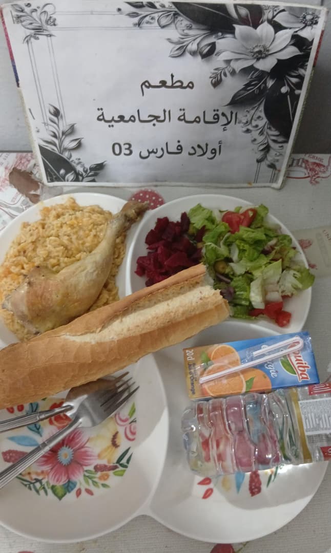 الاقامة الجامعية اولاد فارس 03