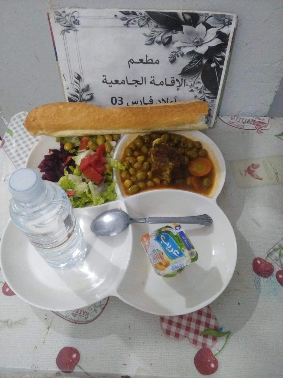 الاقامة الجامعية اولاد فارس 03