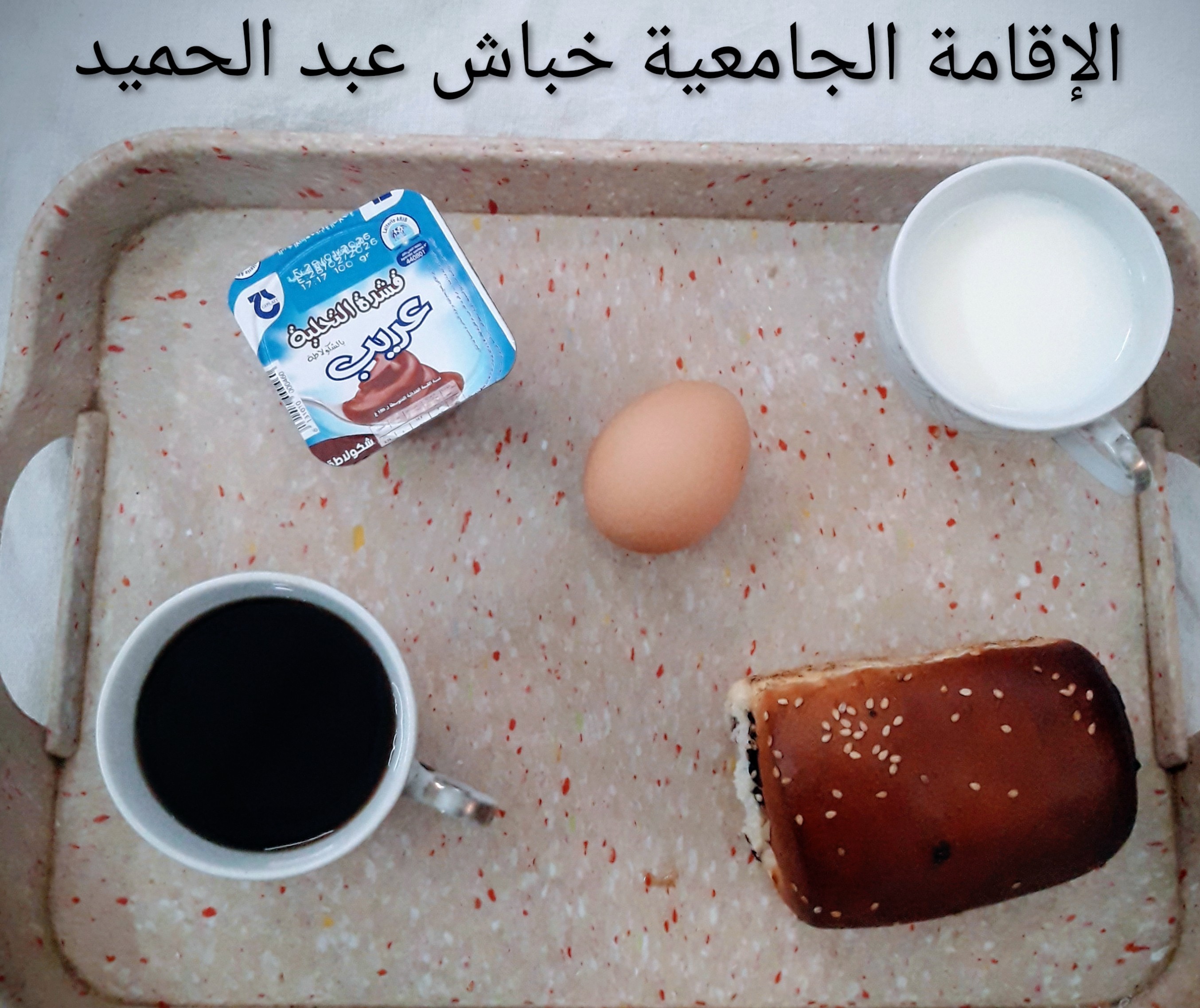 الاقامة الجامعية عبد الحميد خباش