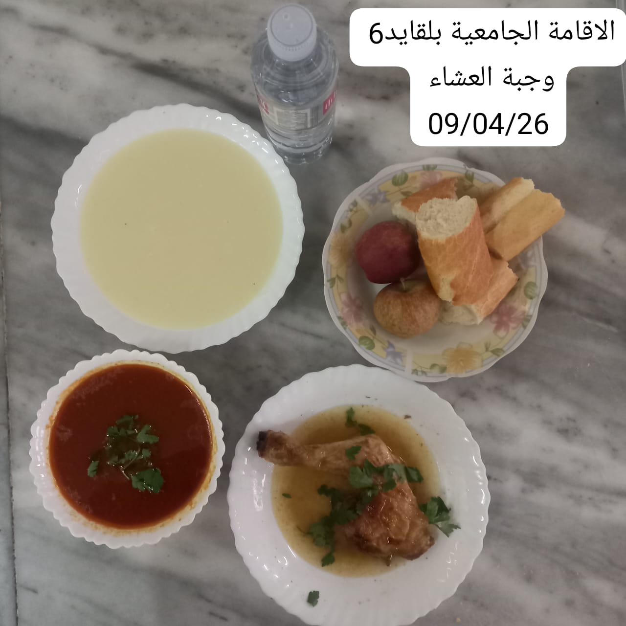 الإقامة الجامعية بلقايد 06