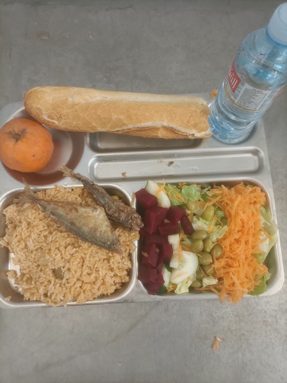 شنوي عائشة 