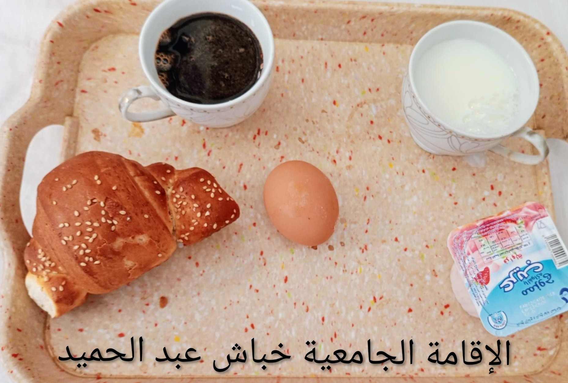 الاقامة الجامعية عبد الحميد خباش