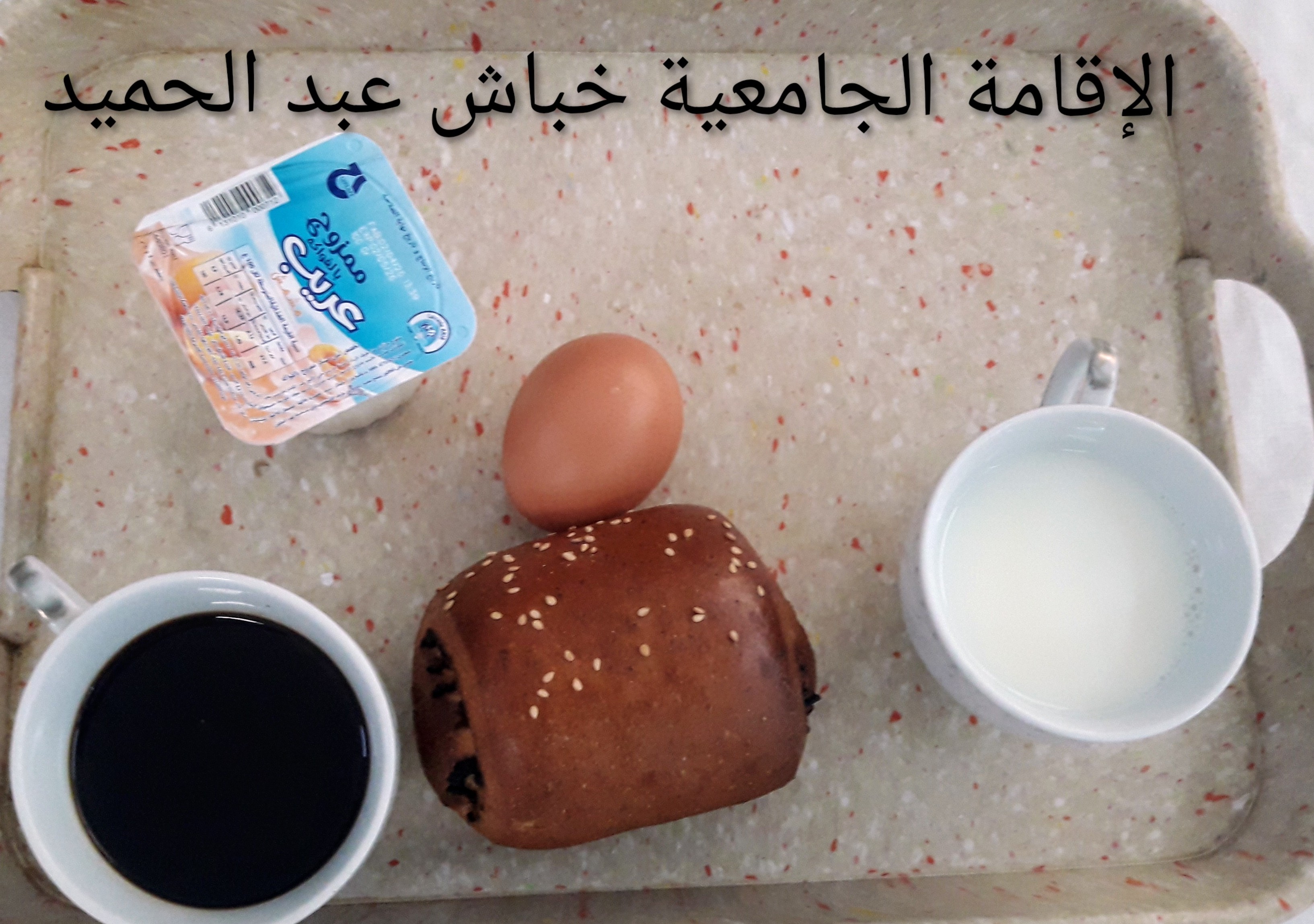 الاقامة الجامعية عبد الحميد خباش