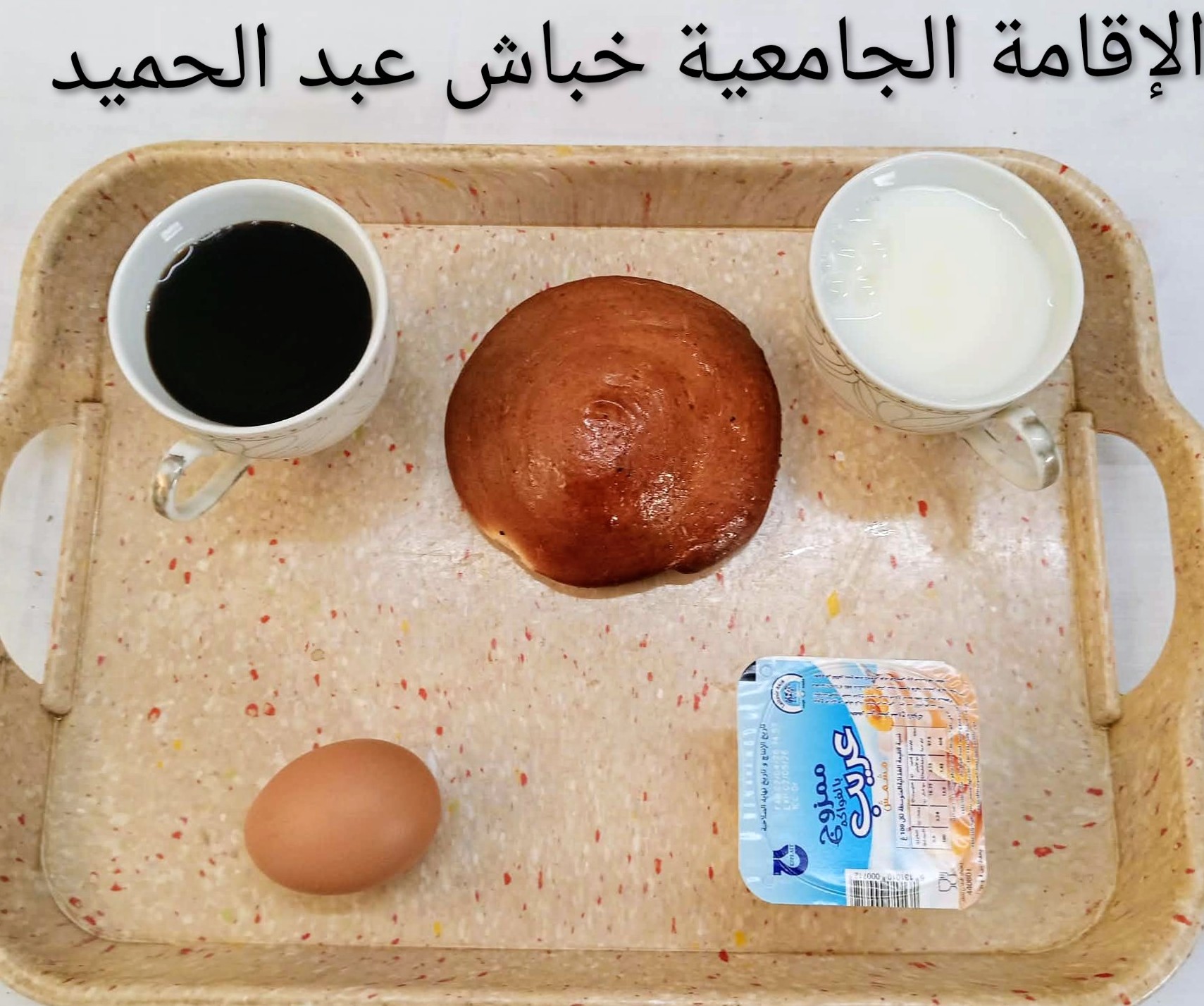 الاقامة الجامعية عبد الحميد خباش