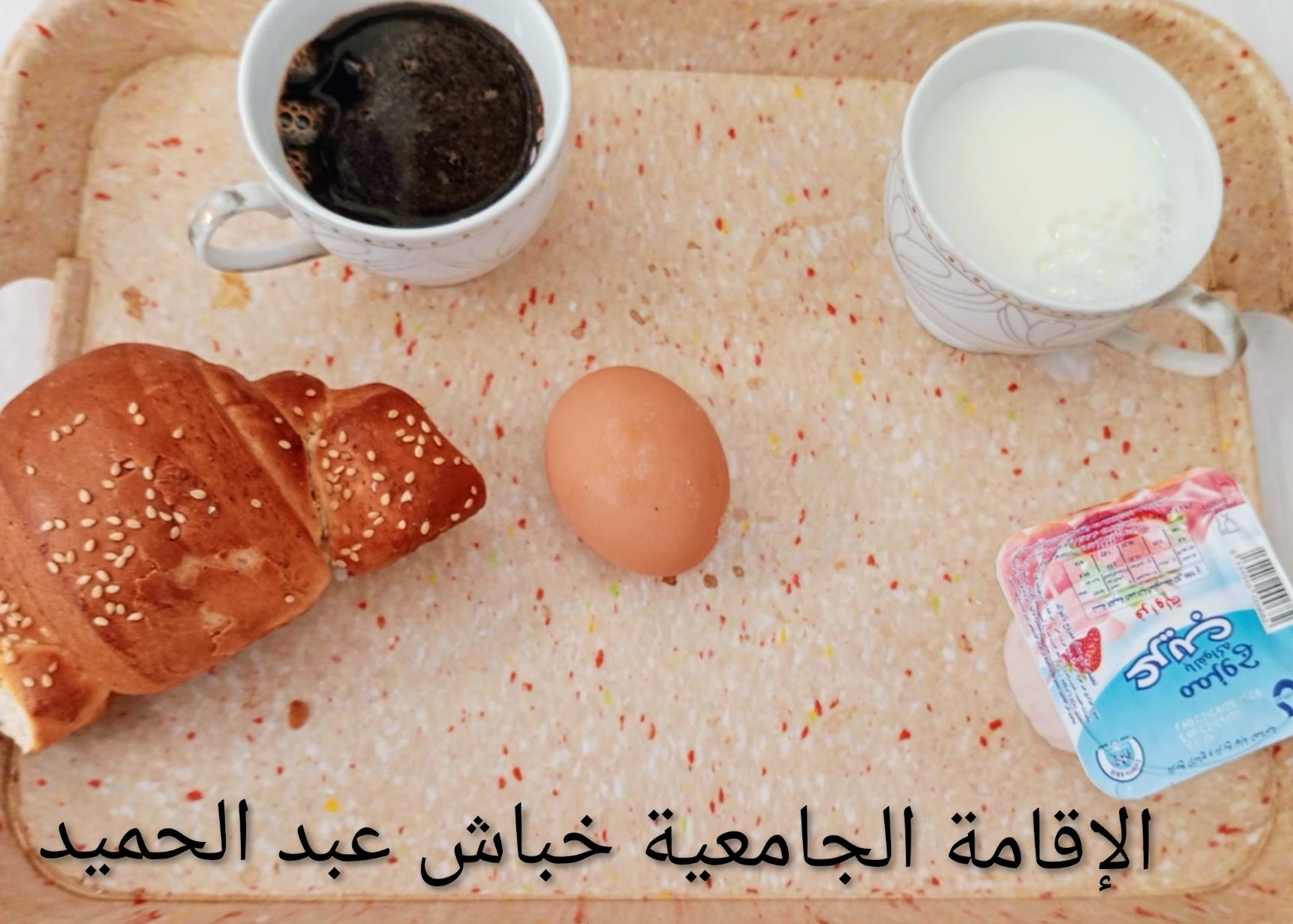 الاقامة الجامعية عبد الحميد خباش