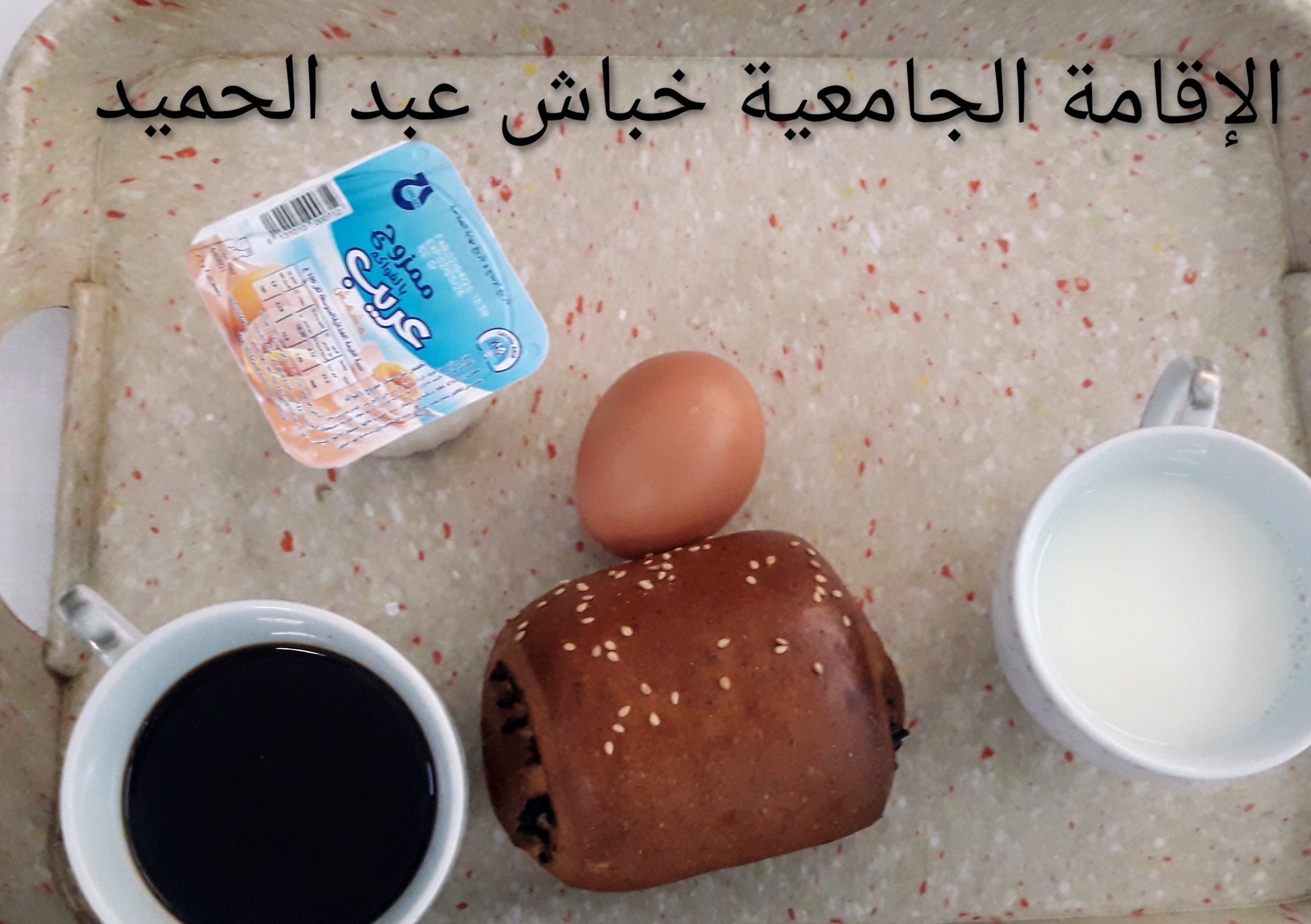 خباش عبد الحميد