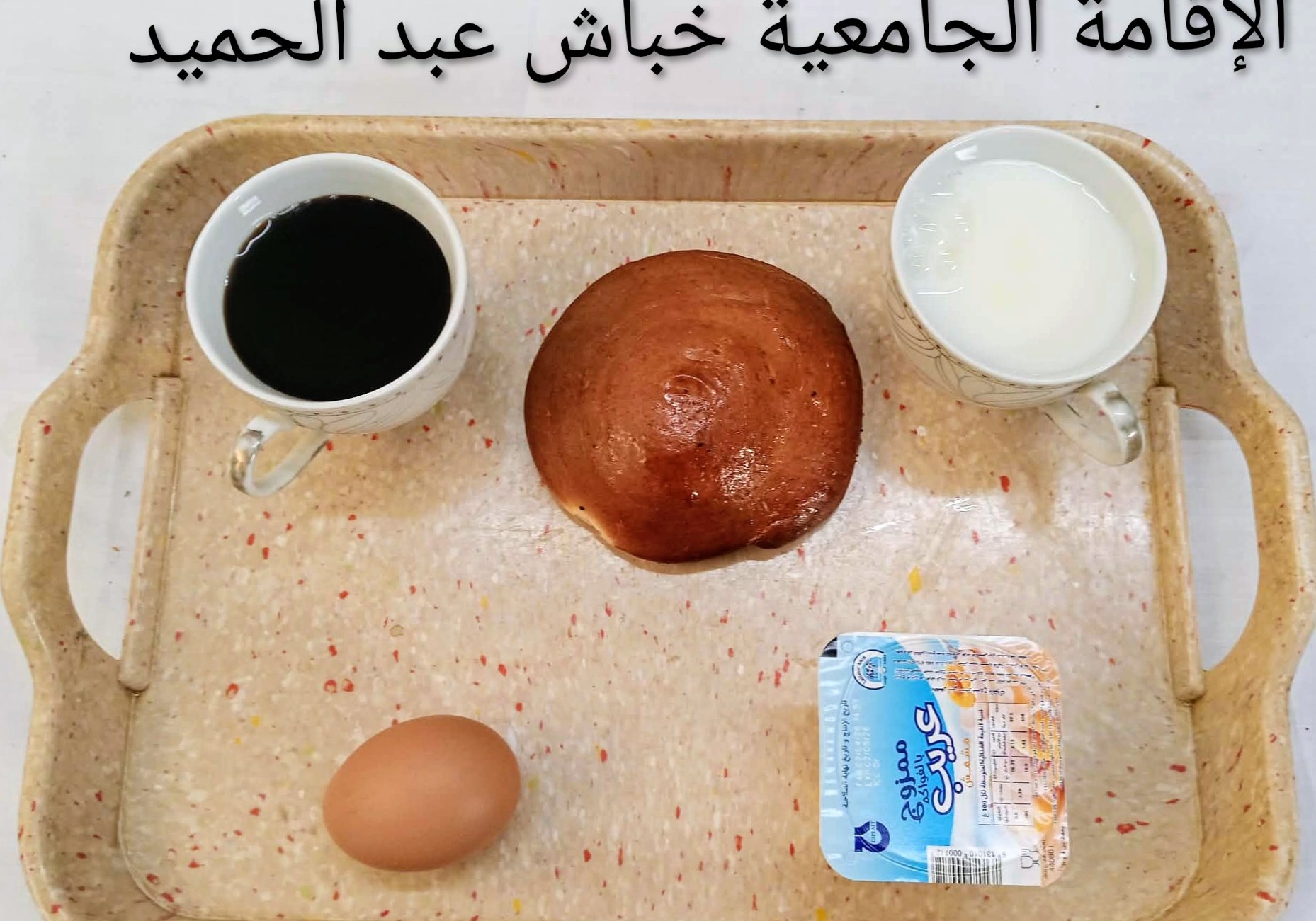 خباش عبد الحميد