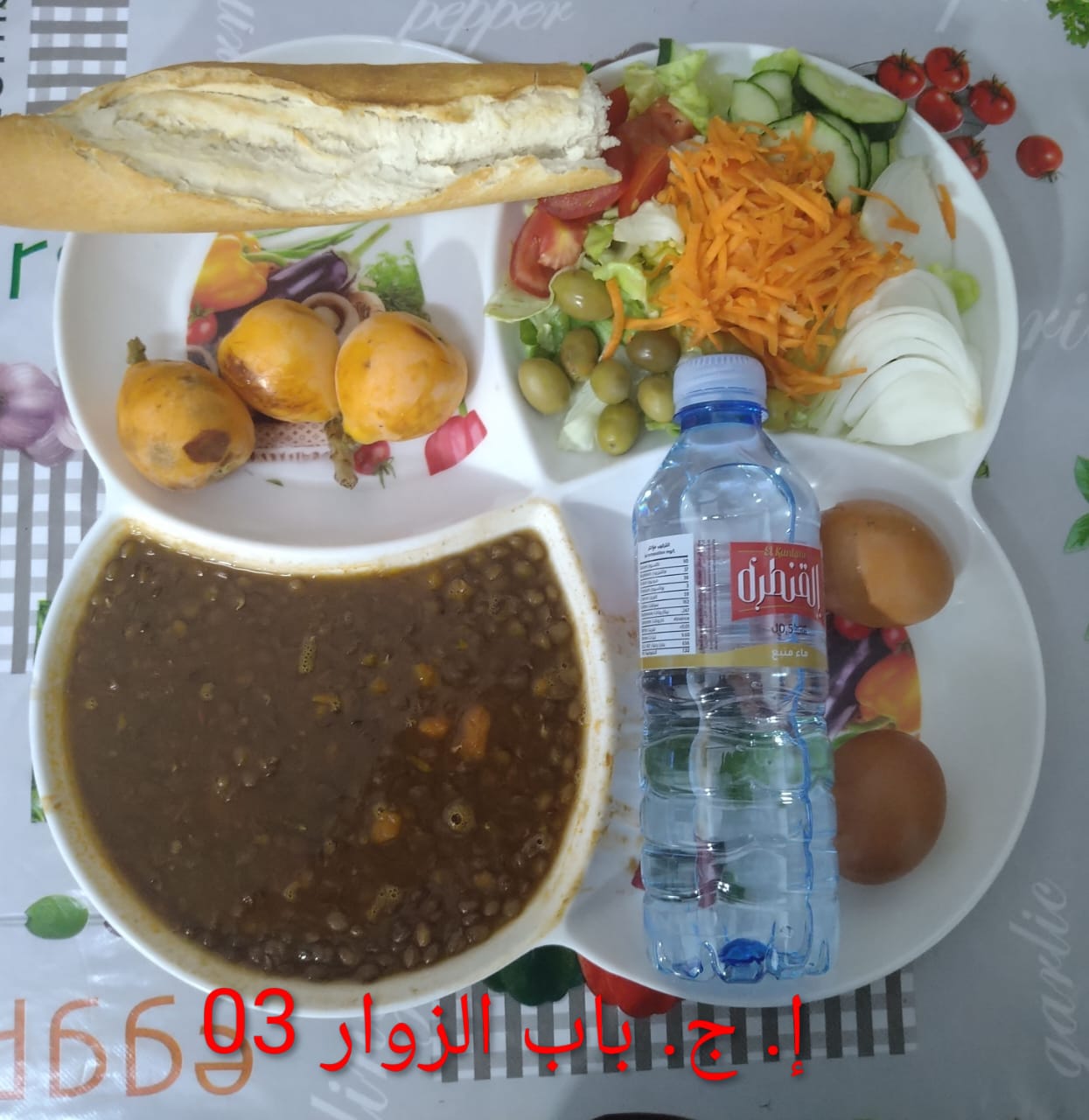 الإقامة الجامعية باب الزوار 03 