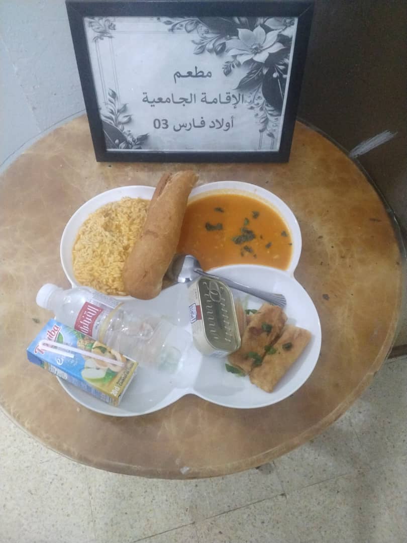 الاقامة الجامعية اولاد فارس 03