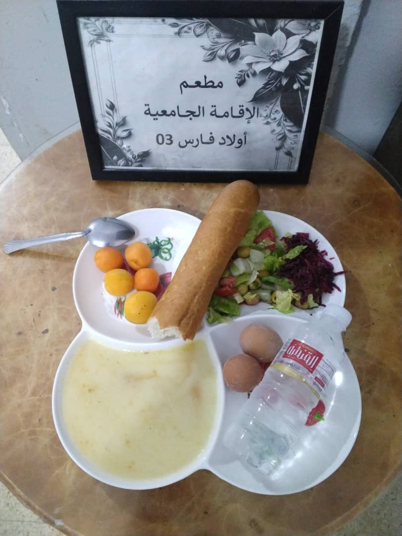 الاقامة الجامعية اولاد فارس 03