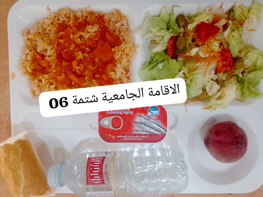 شتمة 06 
