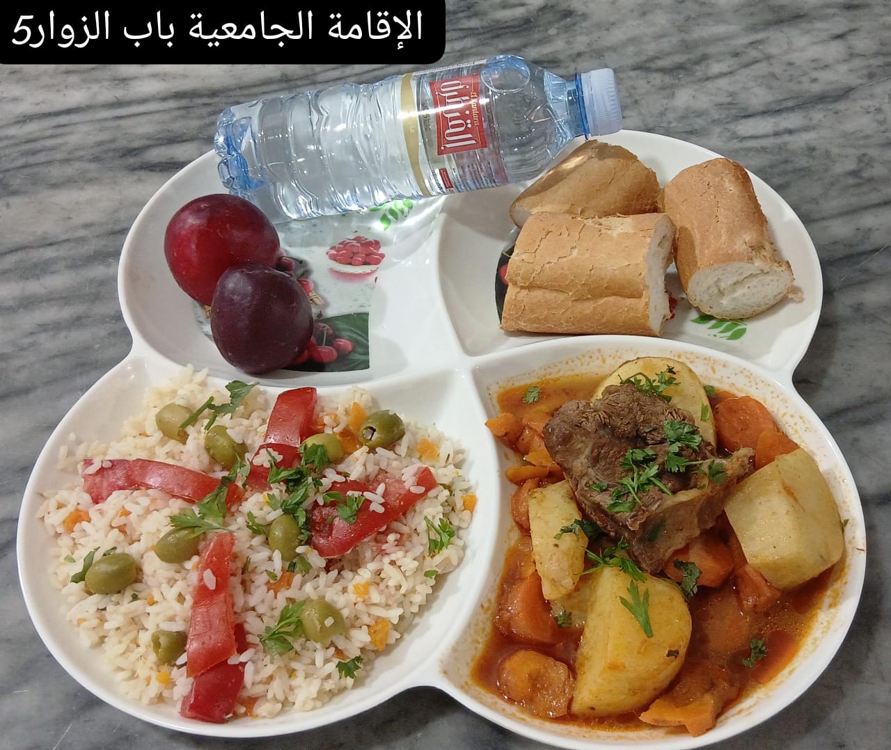الإقامة الجامعية باب الزوار 05 