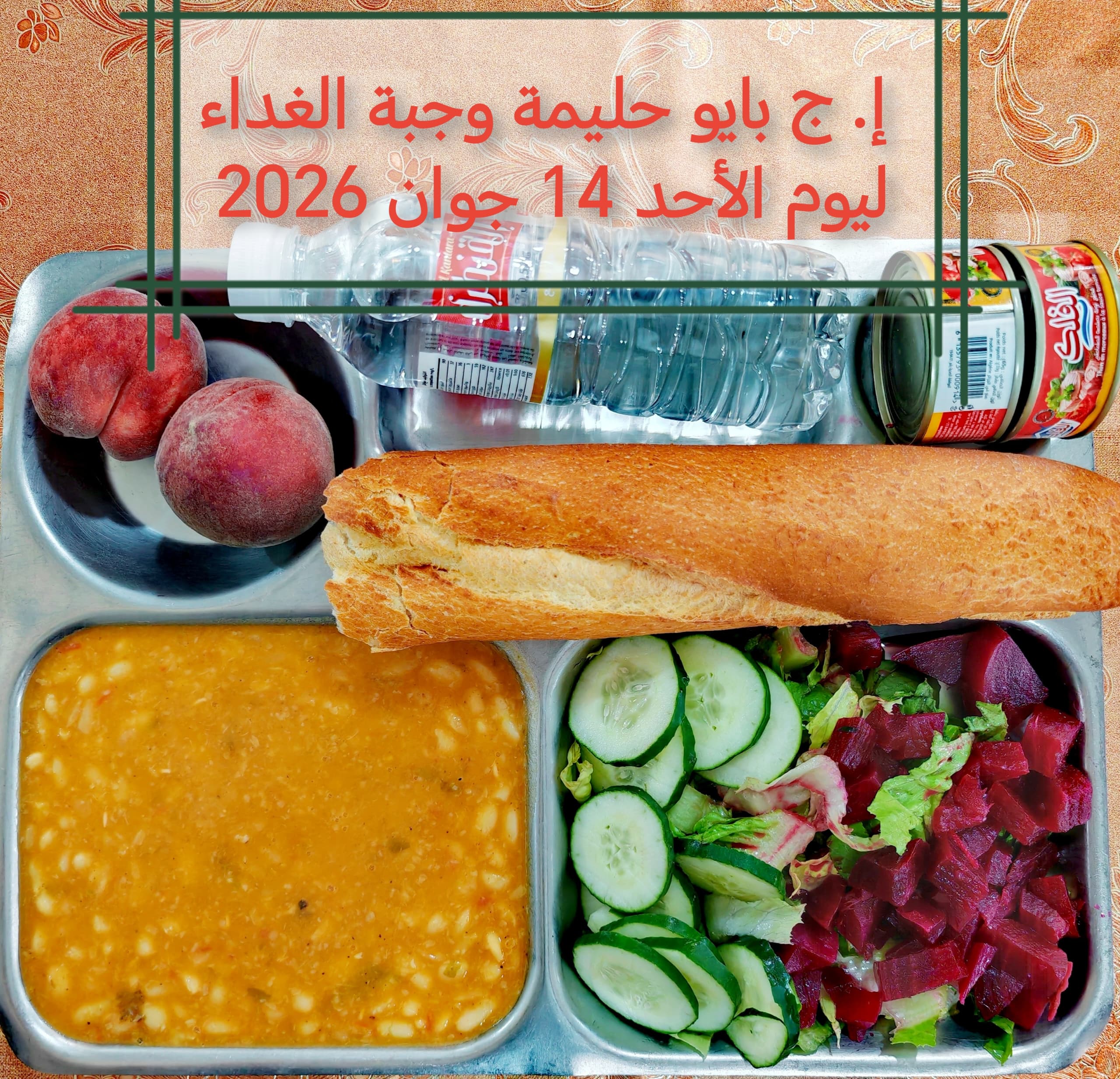 بايو حليمة 