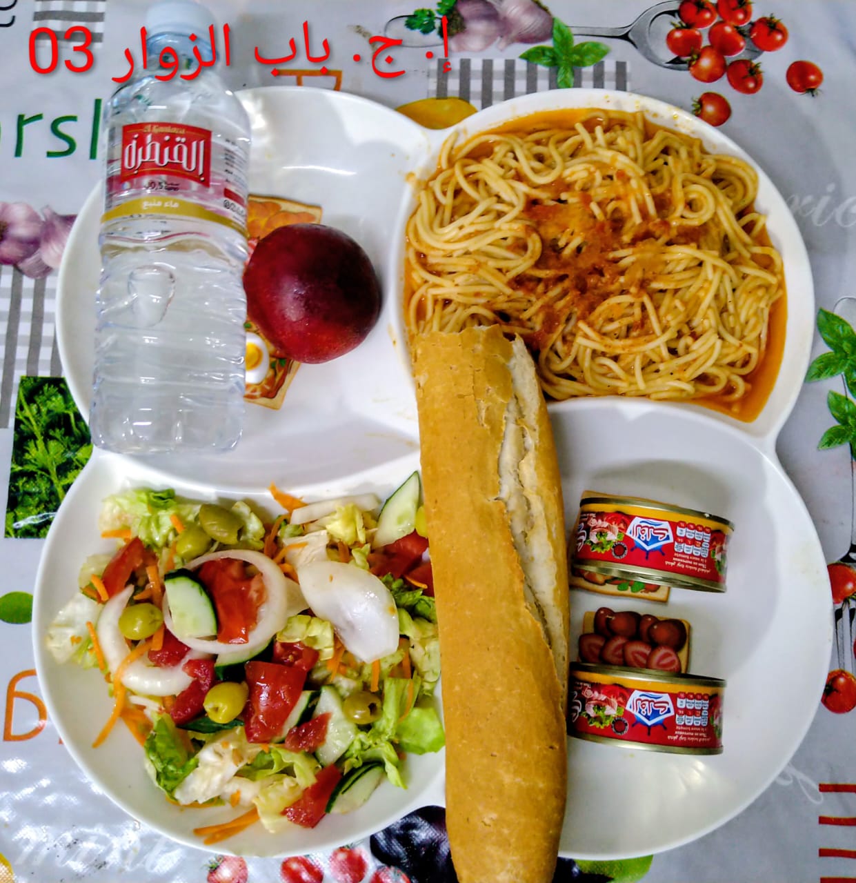 الإقامة الجامعية باب الزوار 03 