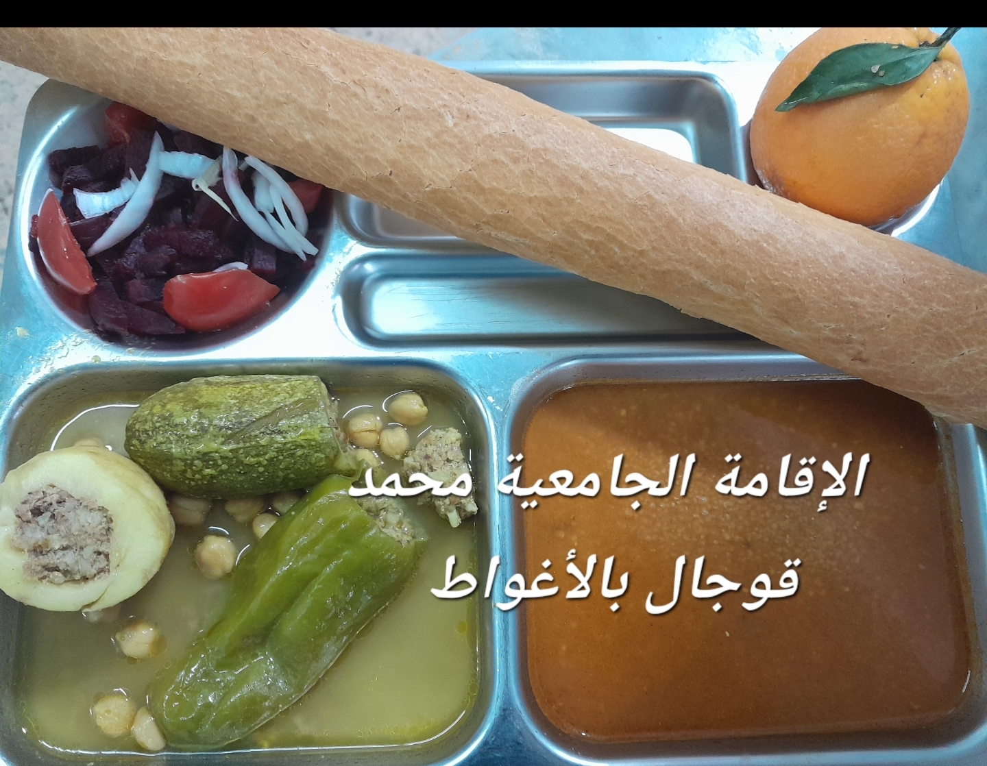 الاقامة قوجال محمد 