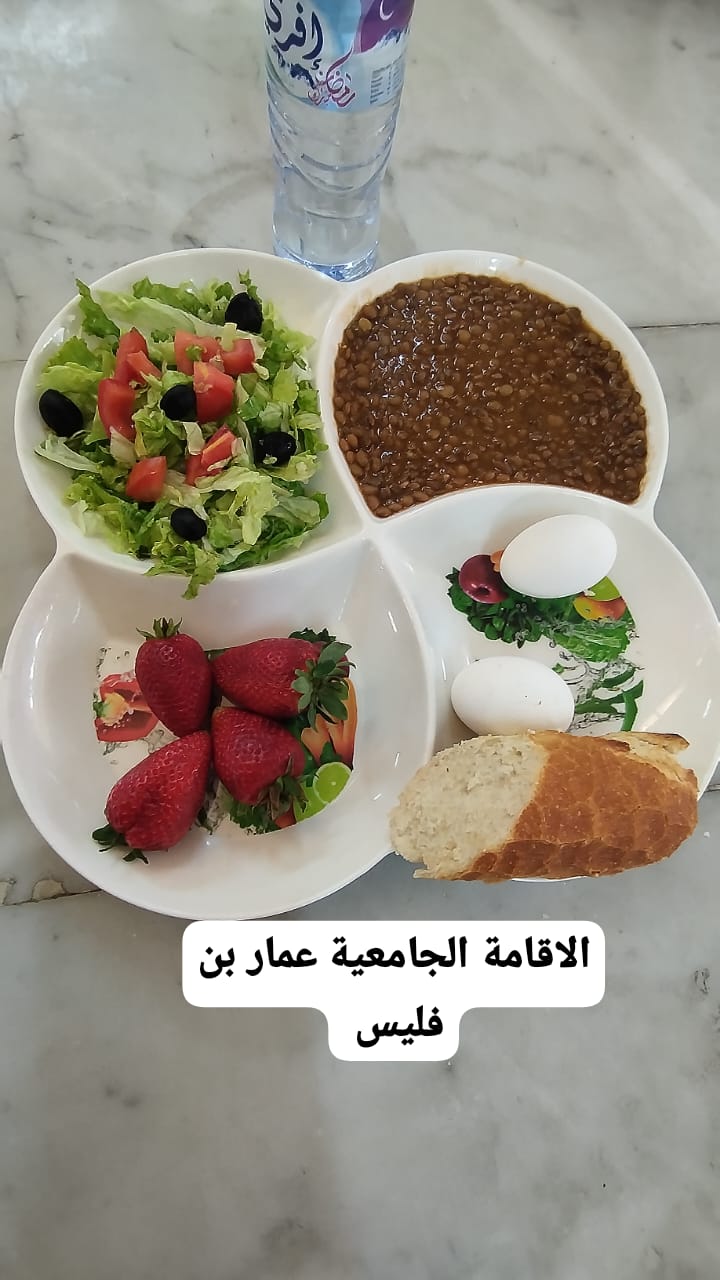 عمار بن فليس