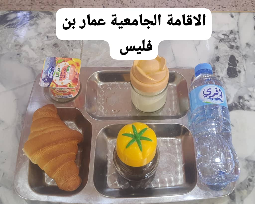 عمار بن فليس 