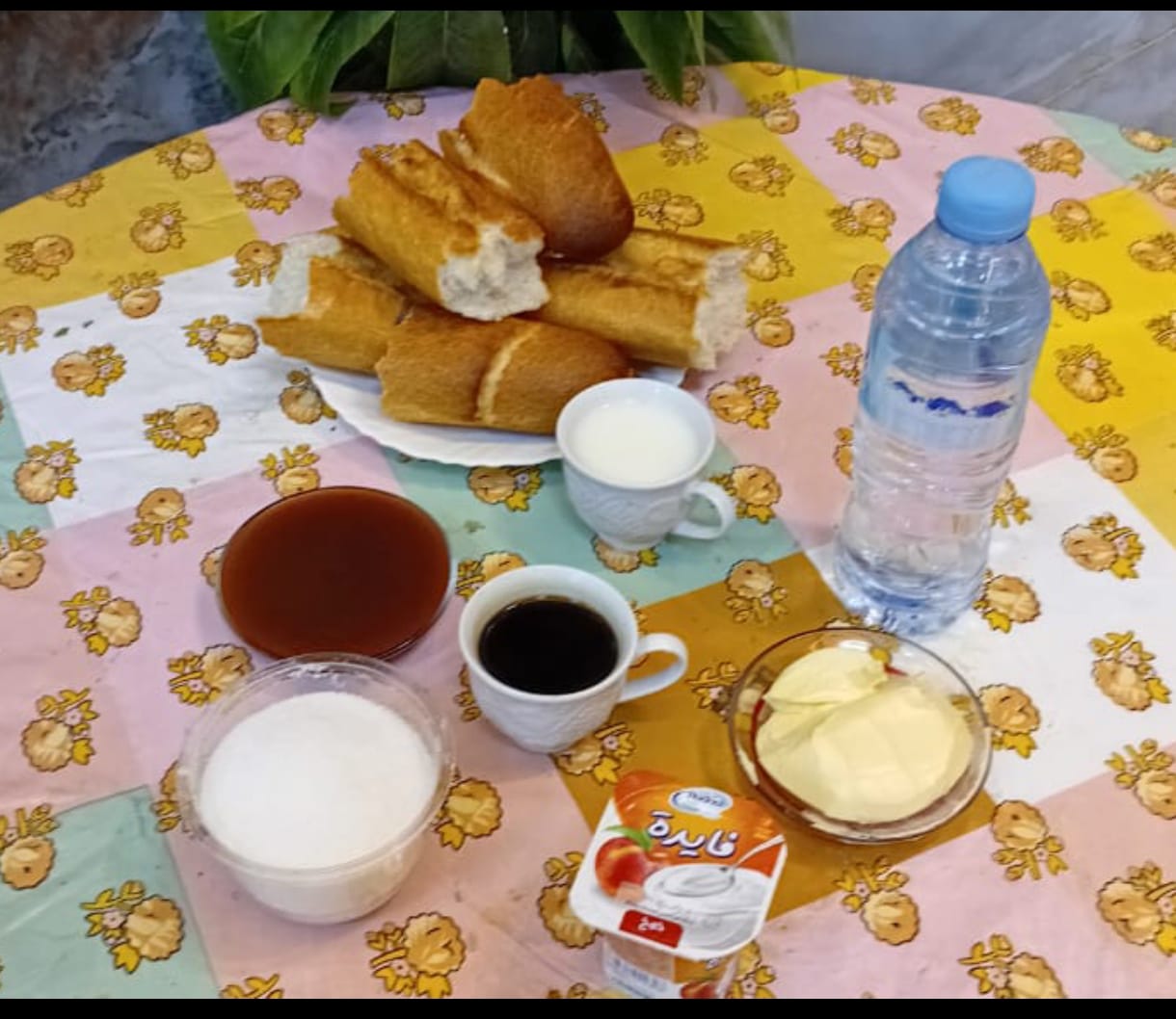 زوبيدة حبيب 