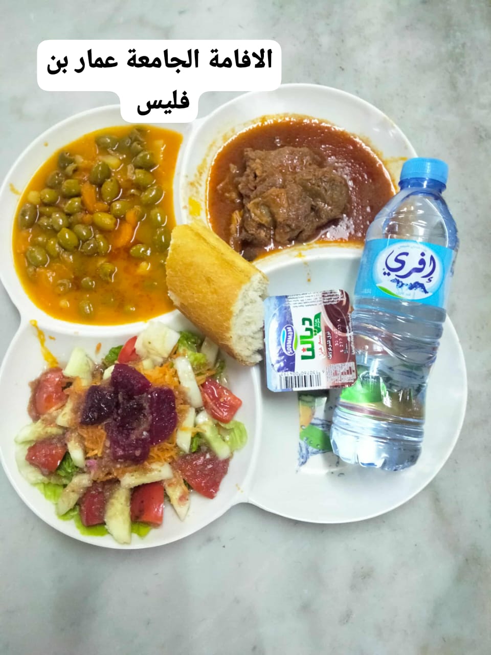 عمار بن فليس 