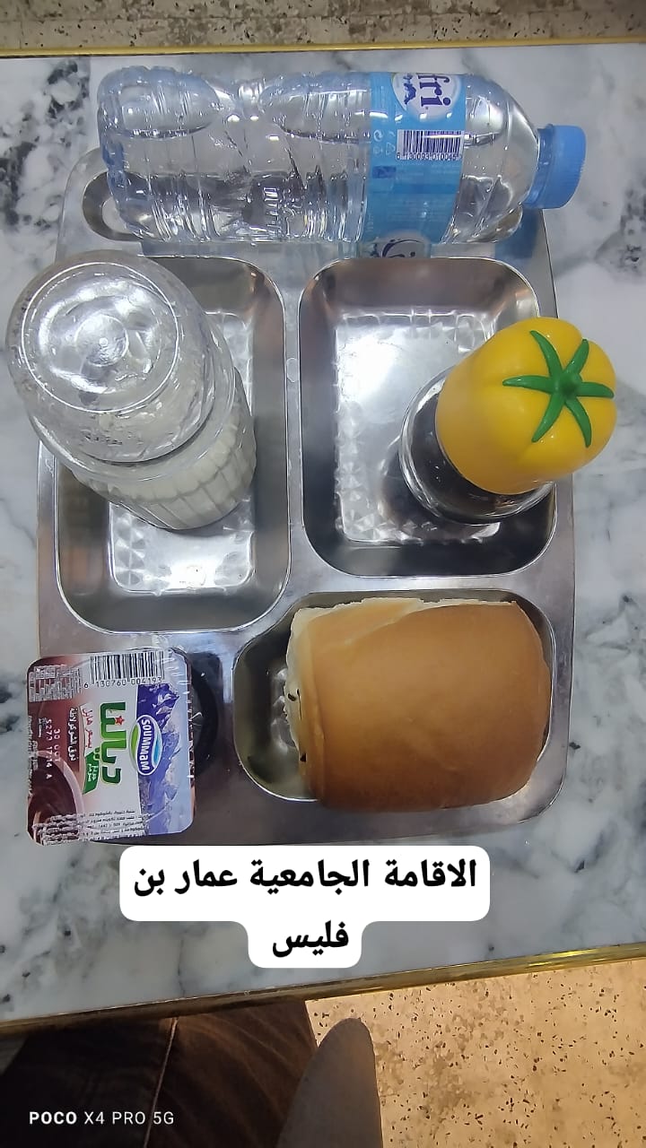 عمار بن فليس 