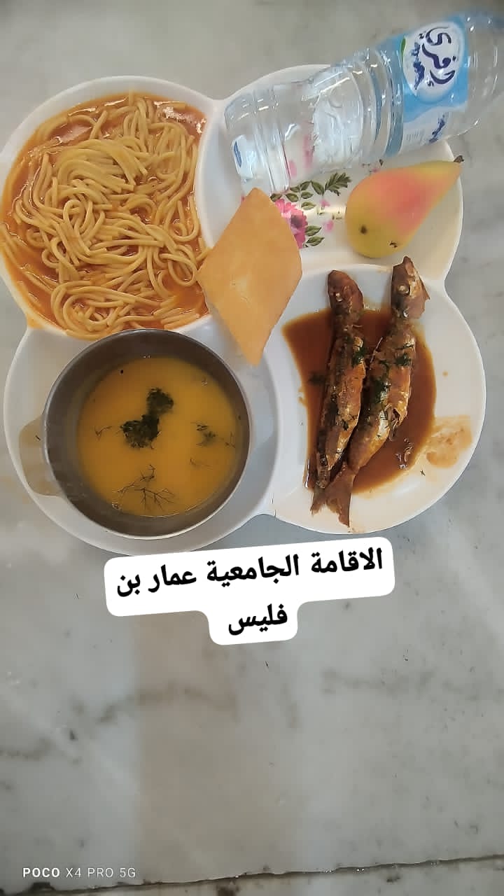 عمار بن فليس 