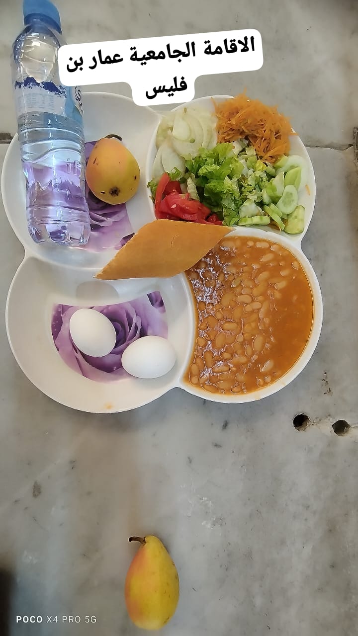 عمار بن فليس 