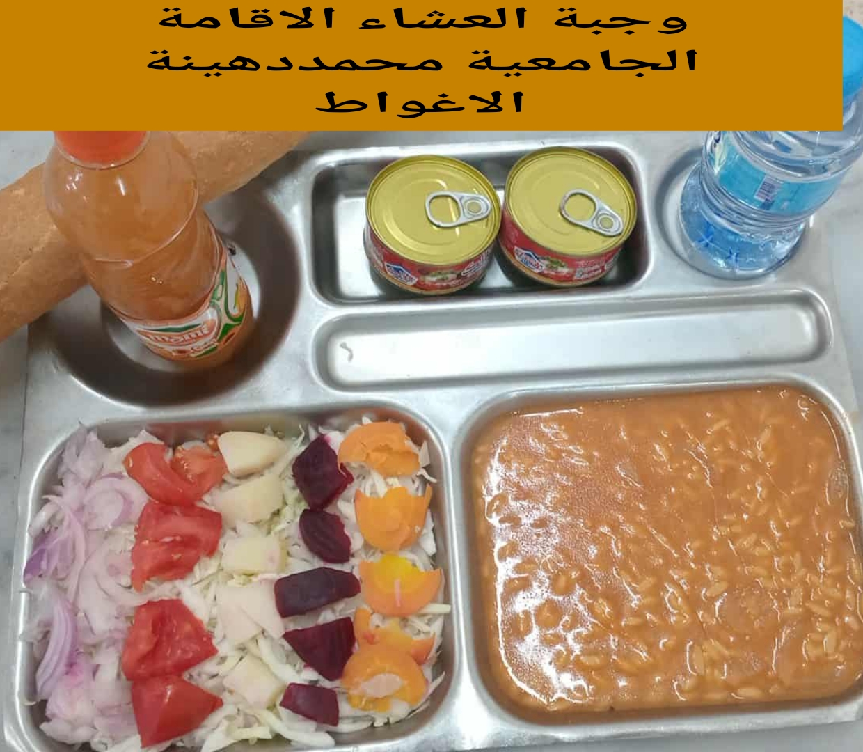 دهينة محمد 