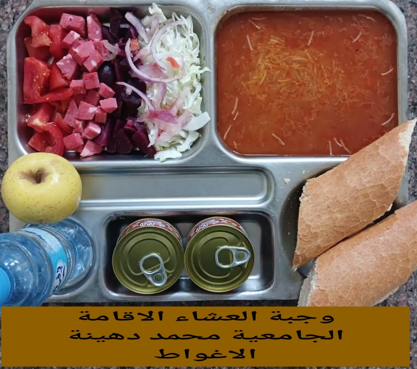 دهينة محمد 